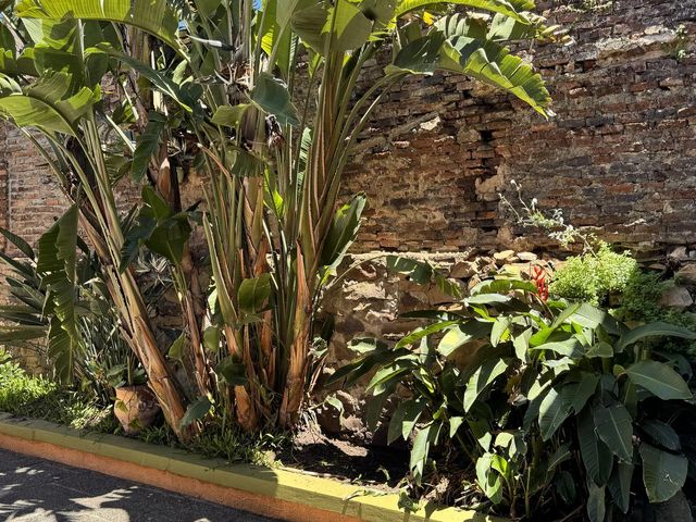 place photo 65