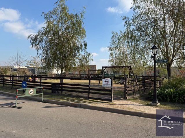 place photo 41