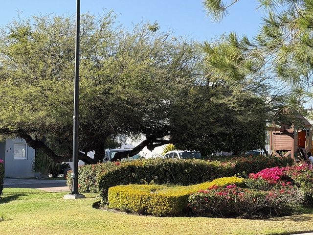 place photo 28