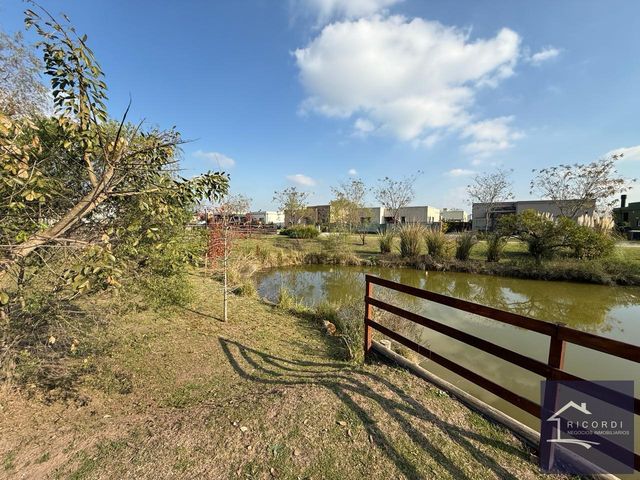 place photo 39