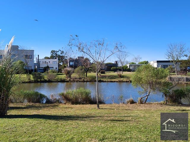 place photo 37