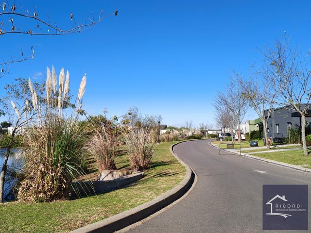 place photo 36