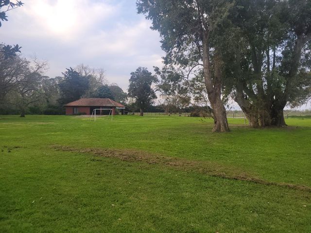 place photo 22
