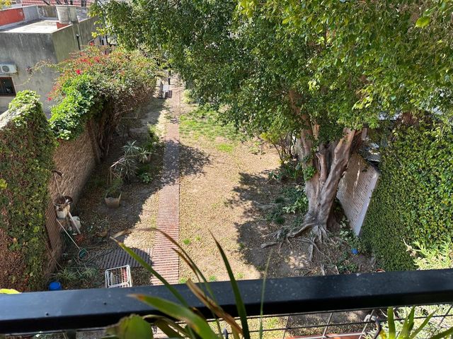 place photo 34