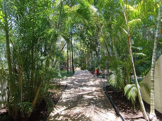 place photo 41