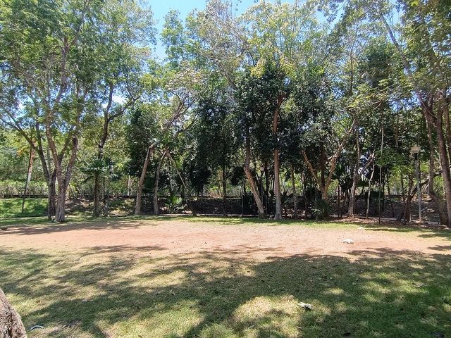 place photo 42