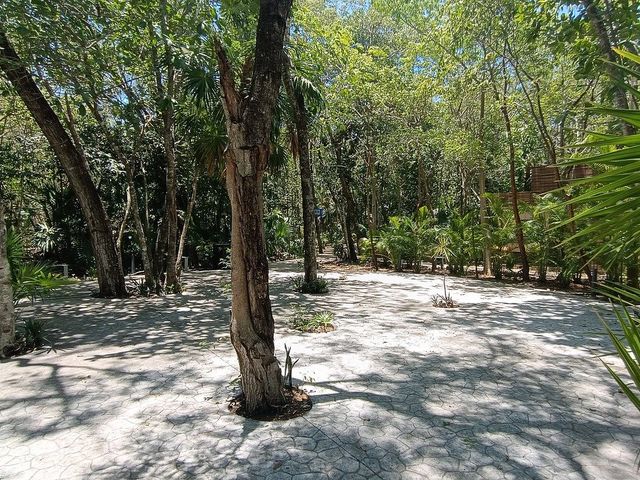 place photo 39