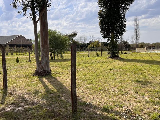 place photo 40