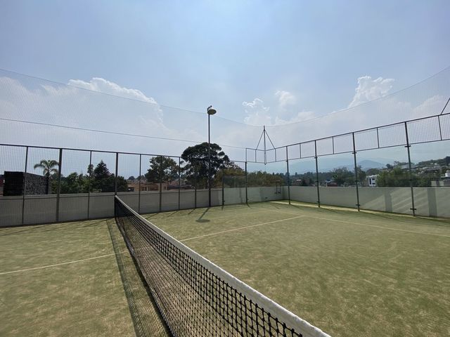 place photo 16
