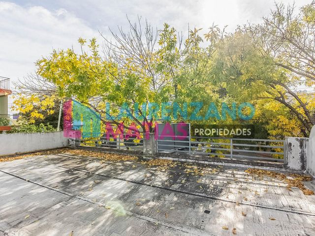 place photo 27