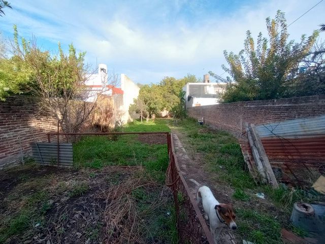 place photo 11