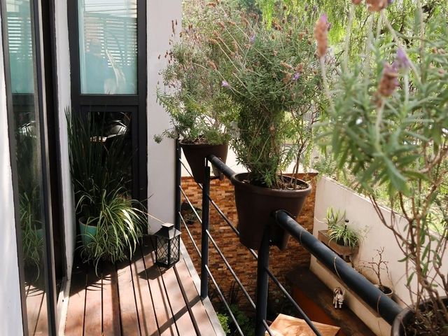 place photo 30