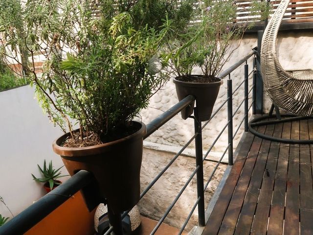 place photo 31