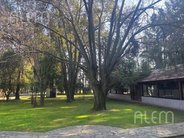 place photo 33