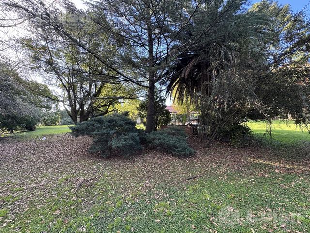 place photo 46