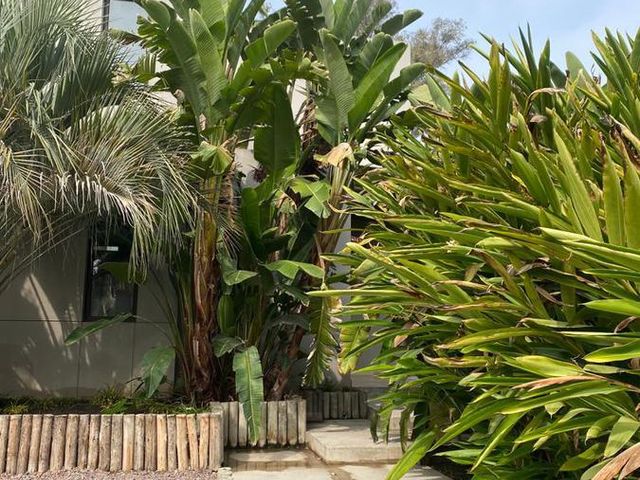 place photo 48