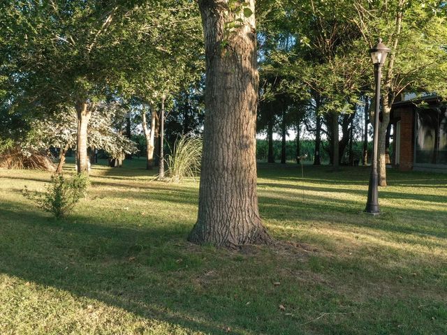 place photo 45