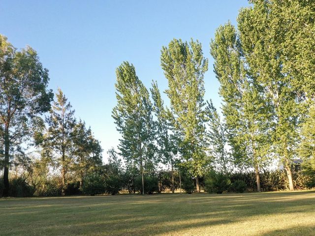 place photo 34