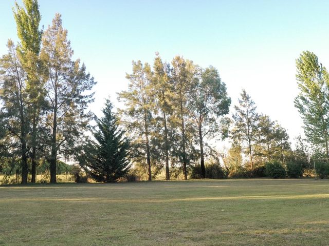 place photo 36