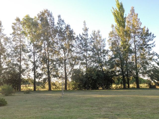 place photo 37