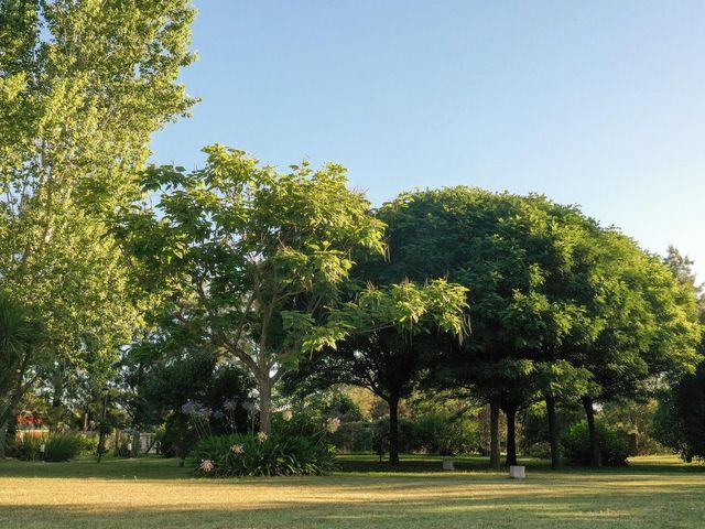 place photo 35