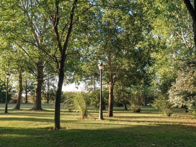 place photo 49