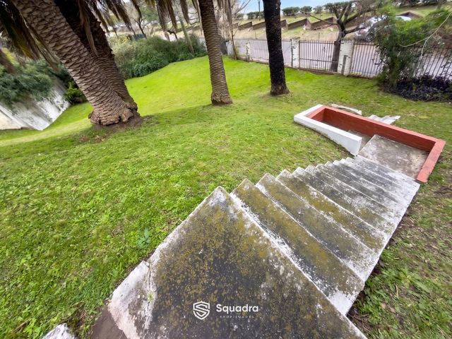 place photo 85