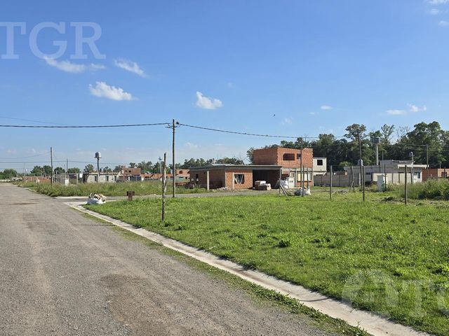place photo 18
