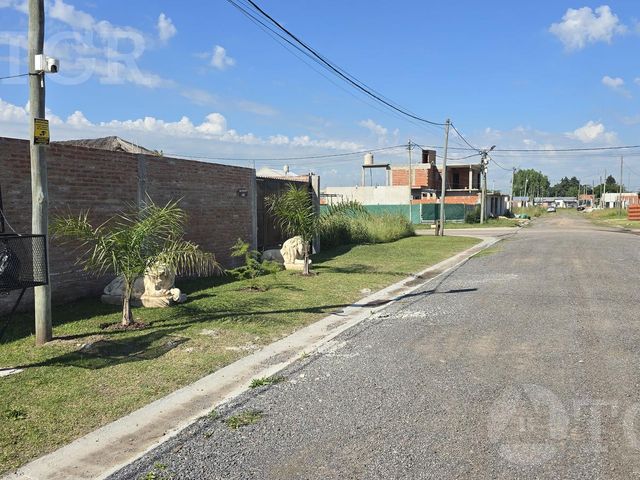 place photo 14