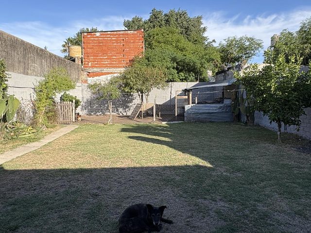 place photo 26