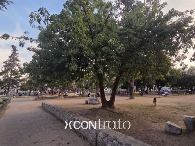 place photo 24