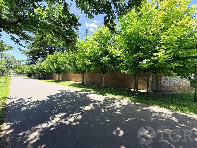 place photo 30