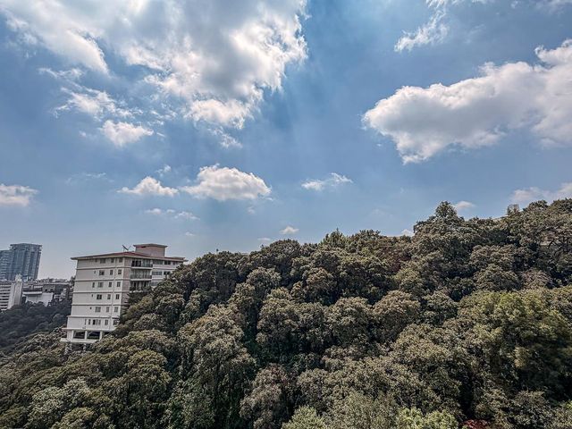 place photo 26