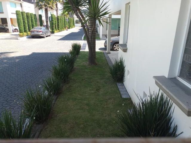 place photo 30