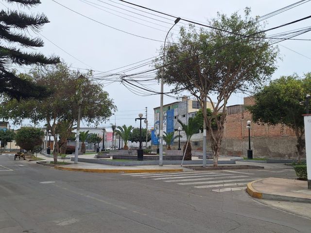place photo 39