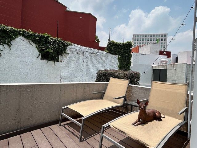 place photo 40