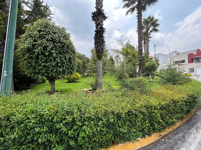 place photo 47