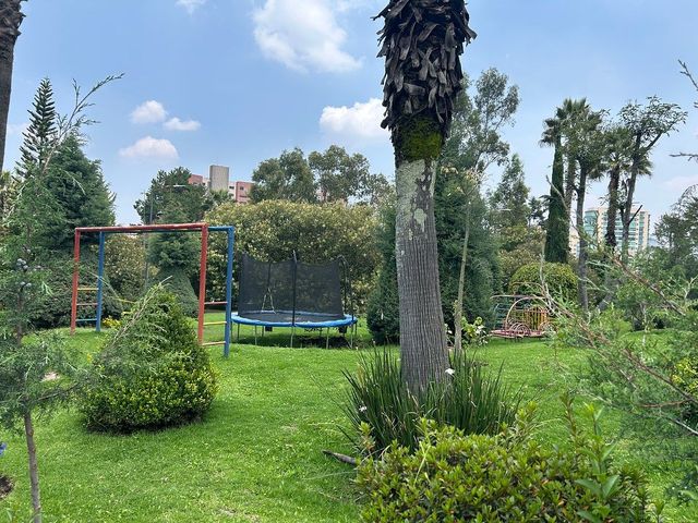 place photo 46