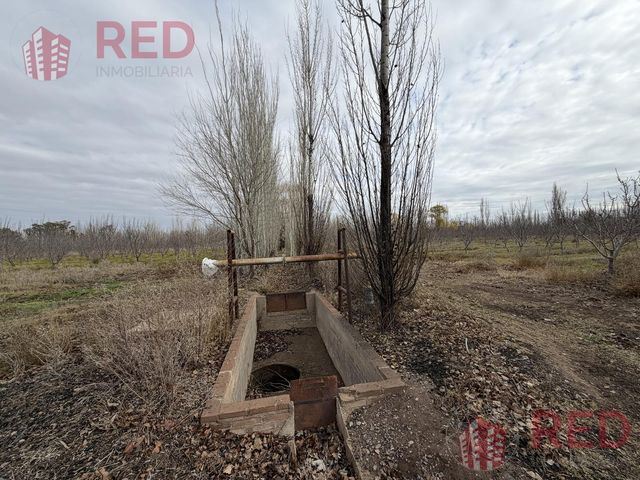 place photo 42