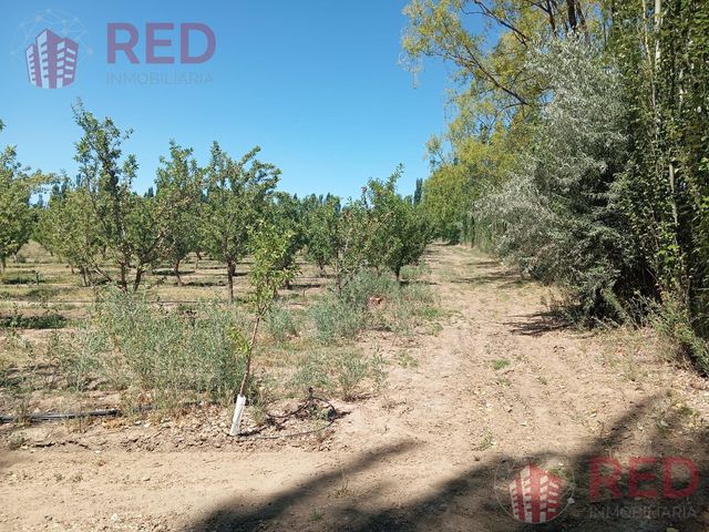 place photo 31