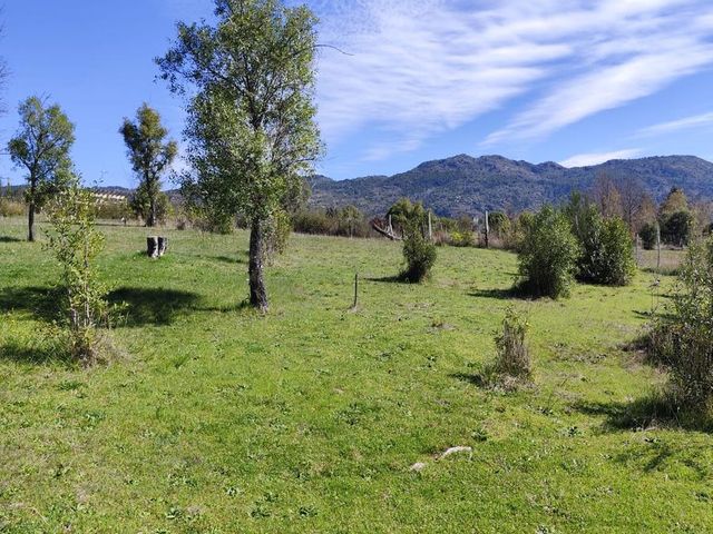 place photo 63