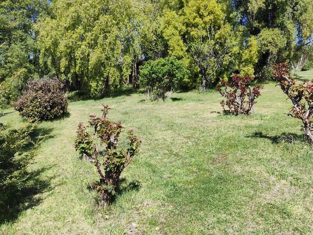 place photo 61