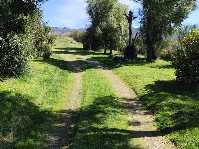 place photo 31