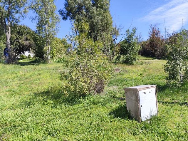 place photo 64