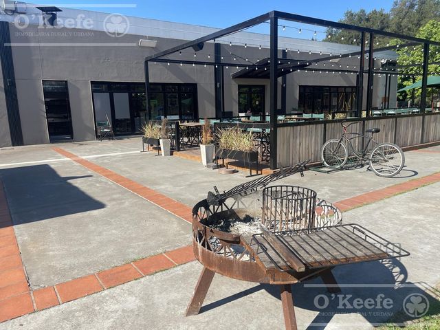 place photo 39