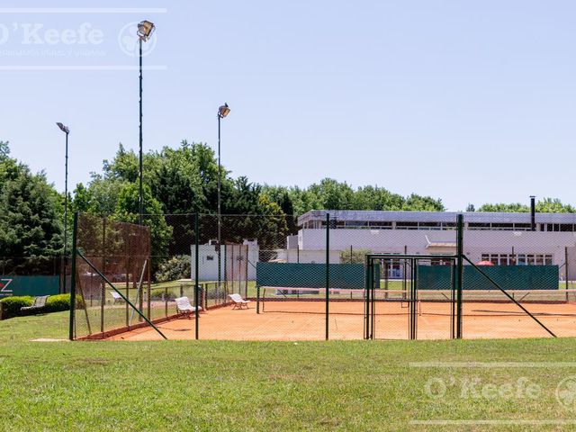 place photo 47