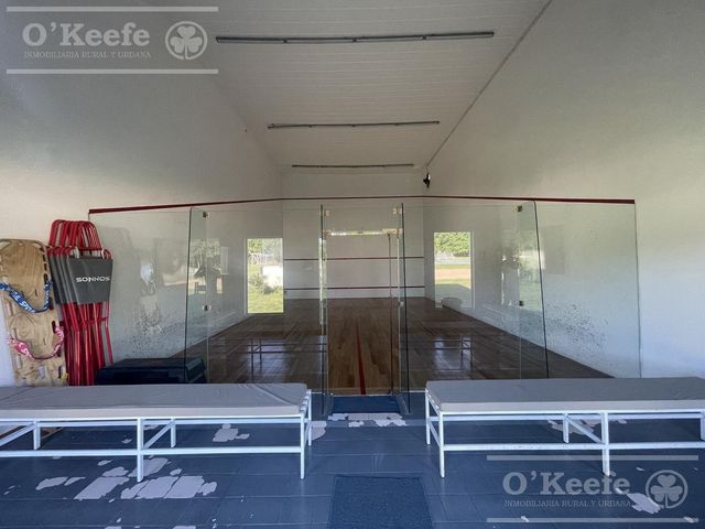 place photo 41