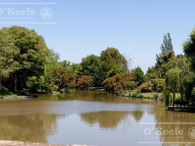 place photo 50