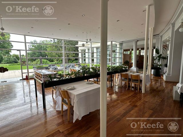 place photo 44