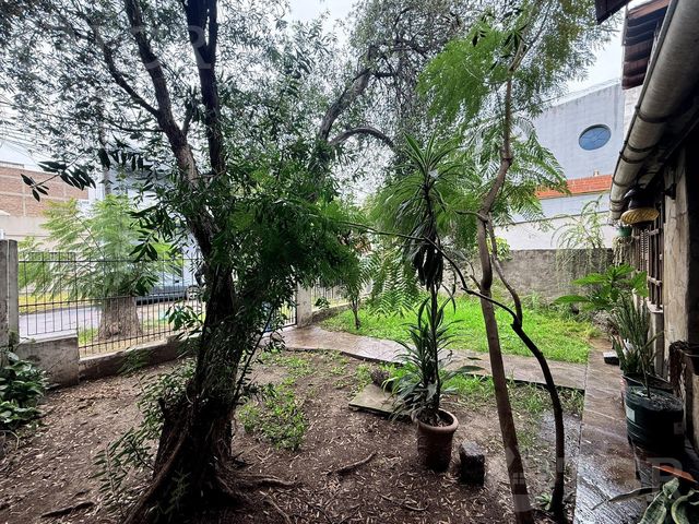 place photo 39